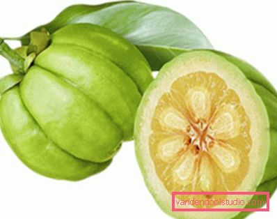 ovoce garcinia cambogia ovoce garcinia cambogia