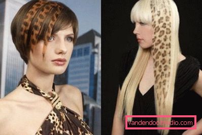vzorník zbarvení s leopard tiskem vzorník zbarvení s leopard tiskem