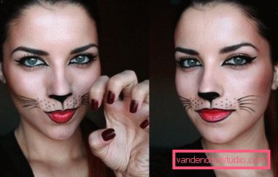 Halloween kočičí tvář Halloween kočičí tvář
