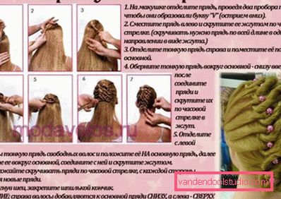 vytváří elegantní spirály vytváří elegantní spirály